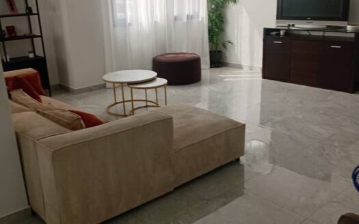 Appartement Meuble a Louer au point E