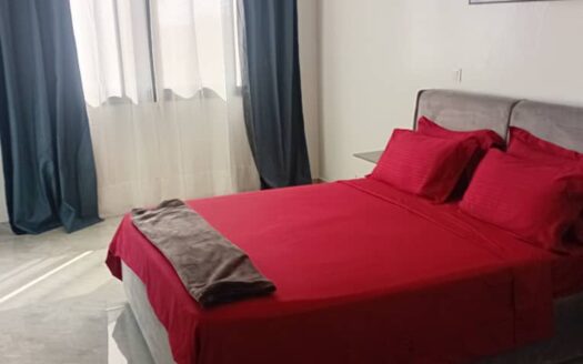 Appartement Meuble a Louer au point E