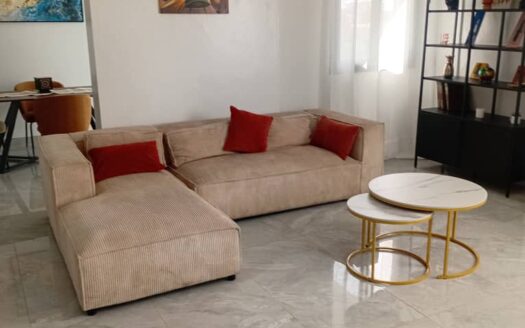 Appartement Meuble a Louer au point E