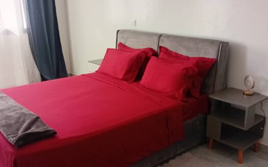 Appartement Meuble a Louer au point E