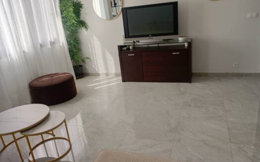 Appartement Meuble a Louer au point E