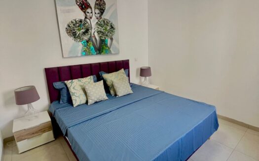 Appartement a louer a Mermoz