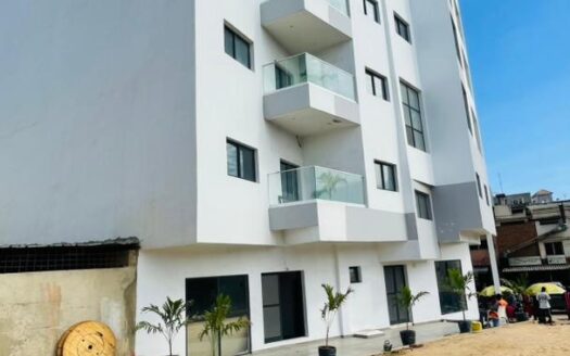 IMMEUBLE A VENDRE A DIAMALYE