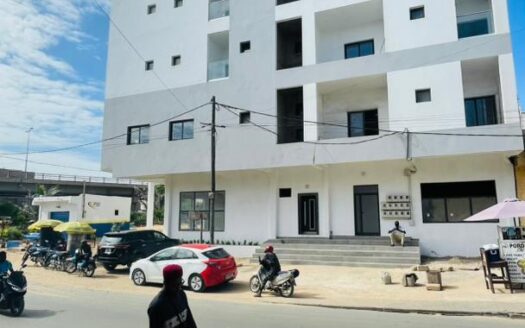 IMMEUBLE A VENDRE A DIAMALYE