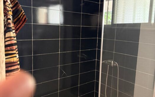 Appartement a louer sur la VDN