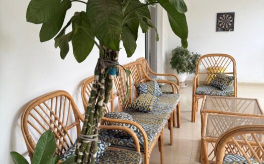 Appartement a louer sur la VDN