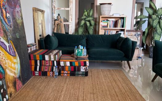 Appartement à louer a Mermoz